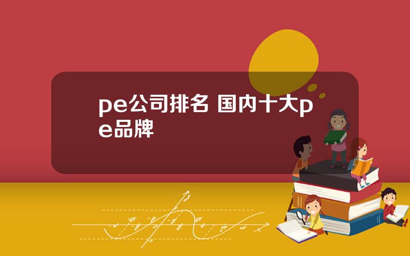 pe公司排名 国内十大pe品牌